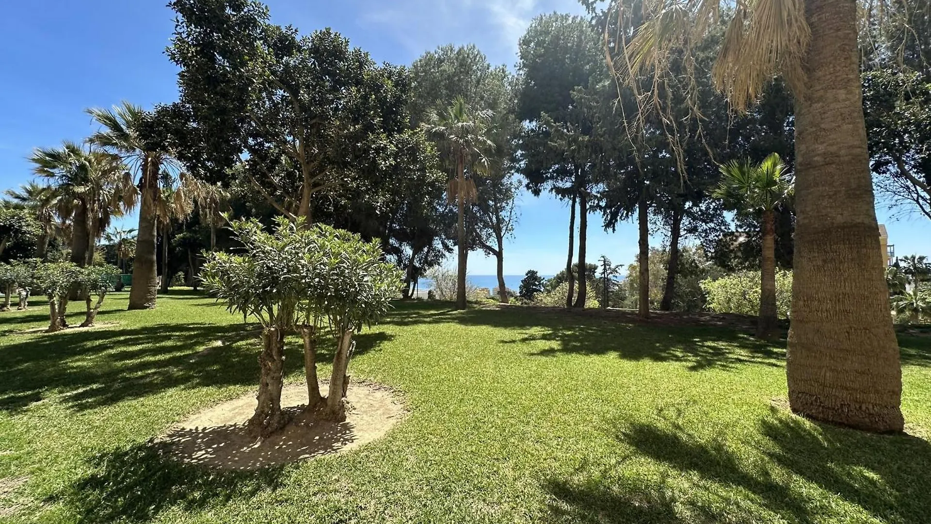 Estudio Hercules Con Piscina A 800M De La Playa Benalmádena 0*,